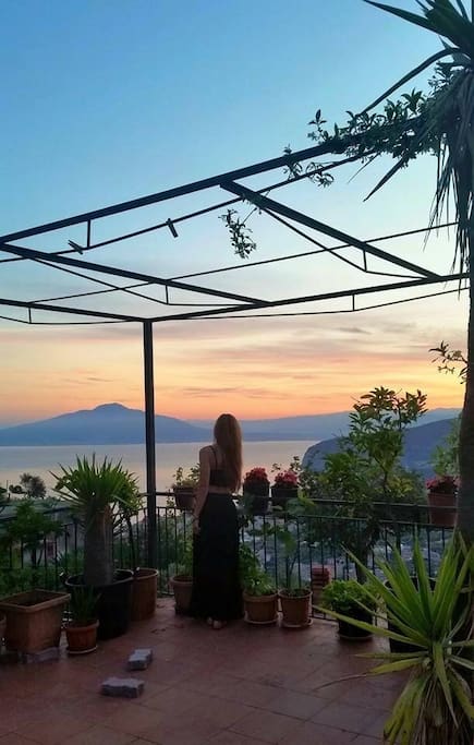 View from our garden