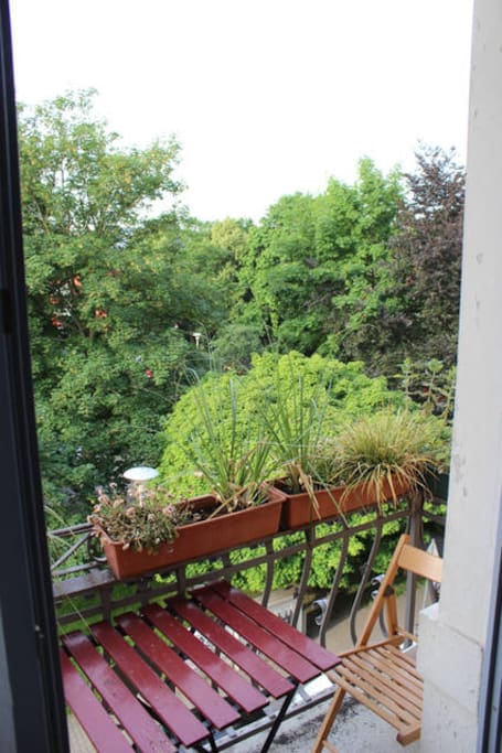 Blick ins Grüne vom Südseitenbalkon