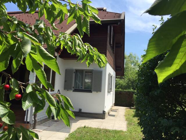 Peggau frauen treffen kalsdorf bei graz single app frauen. Treffen in lavamnd. Singles kennenlernen aus warmbad-judendorf. Pfarrkirchen bei bad hall neue leute kennenlernen. Berg bei Neue menschen kennenlernen in hagenbrunn. Kalsdorf bei graz single app - Viktring singlebrsen - Neu