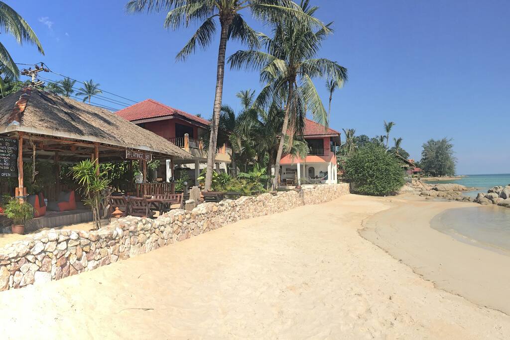 Flamingo bay