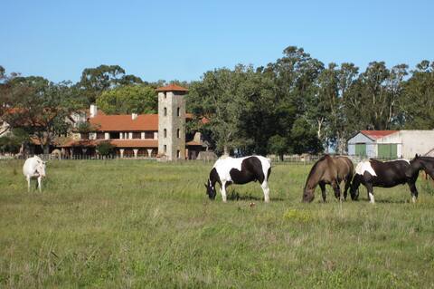 Amazing country house -  Estancia El Carmen