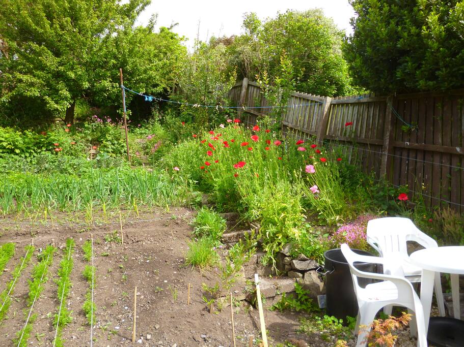 Garden area for guests