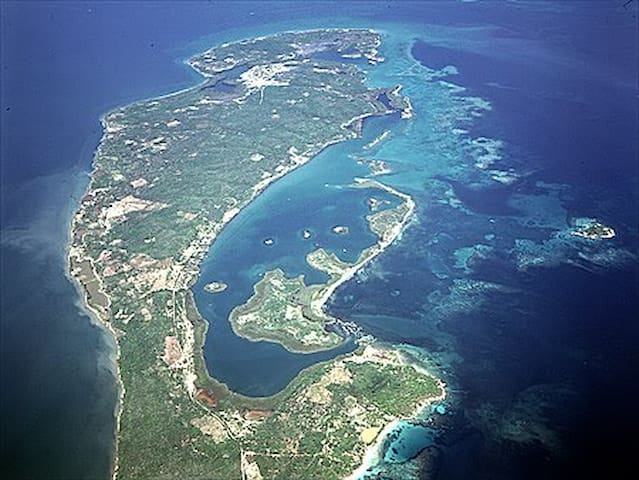 listing_image