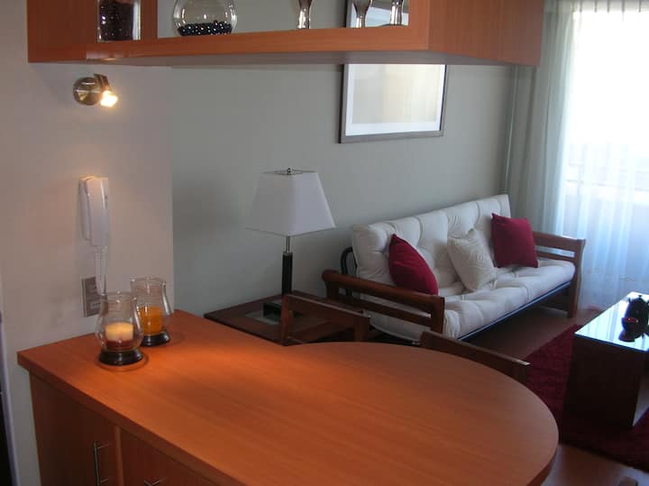 سرير أريكة مريح في غرفة المعيشة يسمح بإقامة ضيف آخر أو زيارة .
