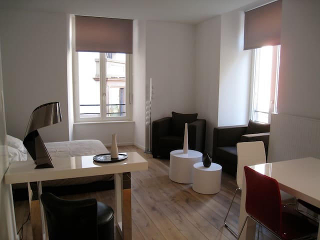 CATHEDRALE:APPARTEMENT DIDEROT 35m2