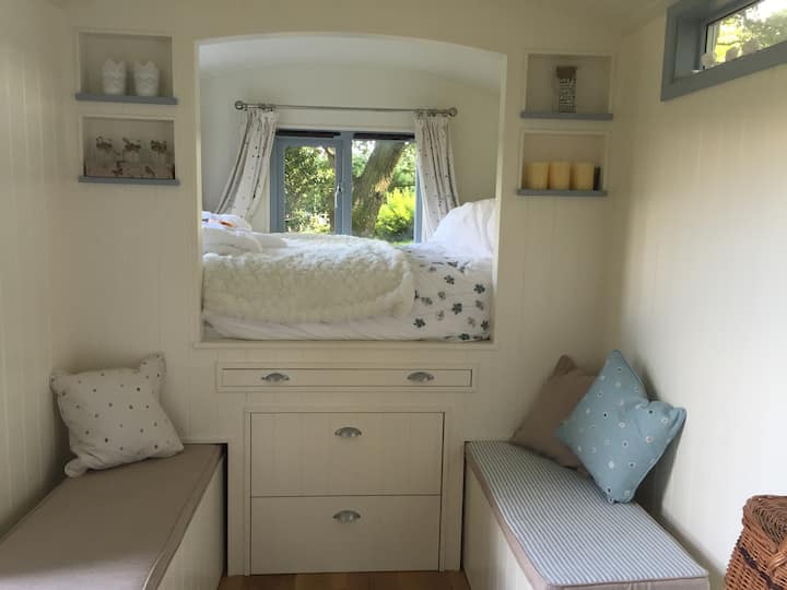 Whispering Oaks Shepherd's photo 3