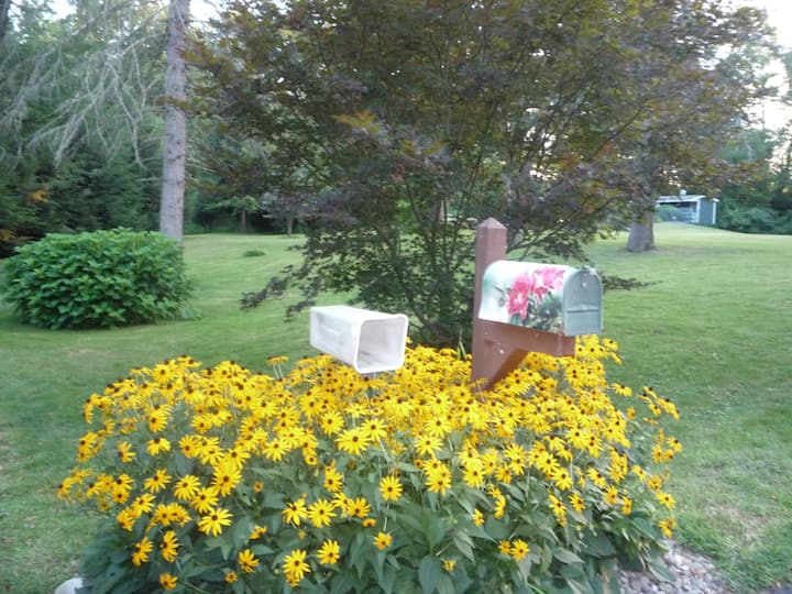 Creekside Park Houses for Rent in Williamsport, Pennsylvania, United