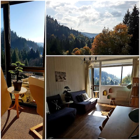 Appartement, ski/rando, pied des pistes, La Bresse