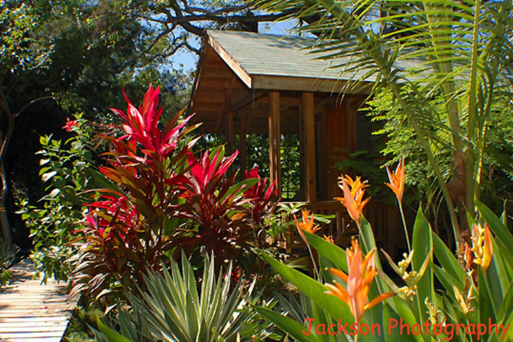 We live in a tropical paradise