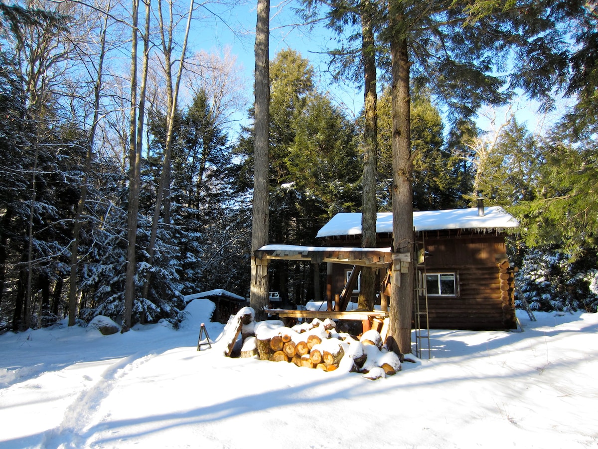 A log cabin is nestled among tall trees, surrounded by a blanket of fresh snow. A pile of firewood is stacked near the entrance, while a wooden picnic table sits under a canopy, offering a comfortable outdoor space. Sunlight filters through the branches, creating a serene atmosphere.