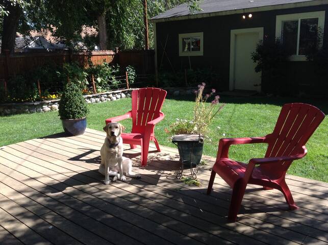 Studio Apartment - North End