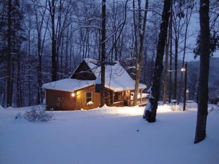 Bearadise Log CabinPerfect Secluded Log Cabin Cabins for Rent in