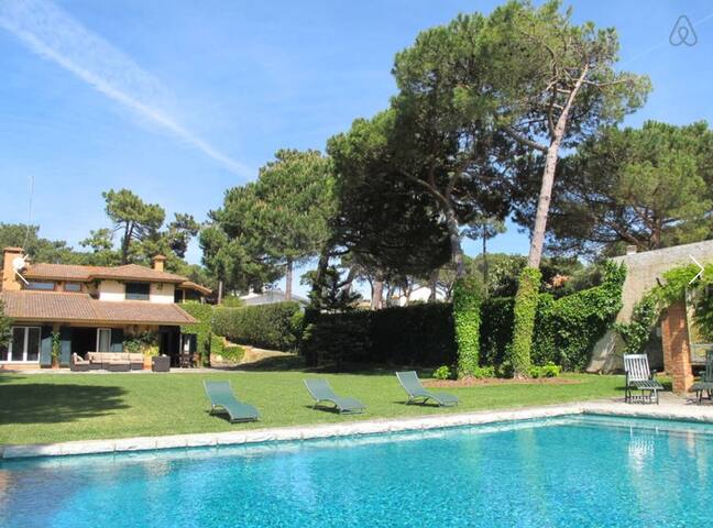 Family Dream 👌 gallery image 3