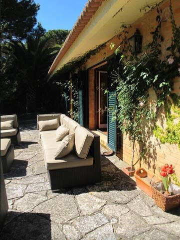 Family Dream 👌 gallery image 5