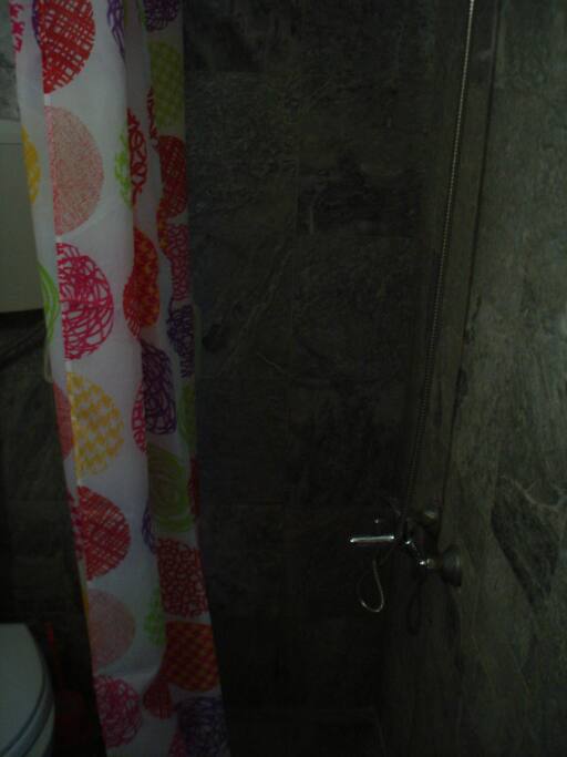 Shower detail