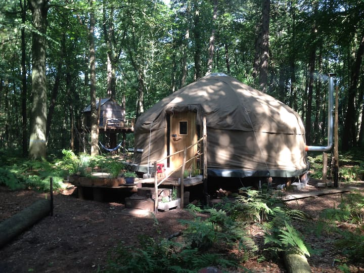 Forest Yurt near Bruges