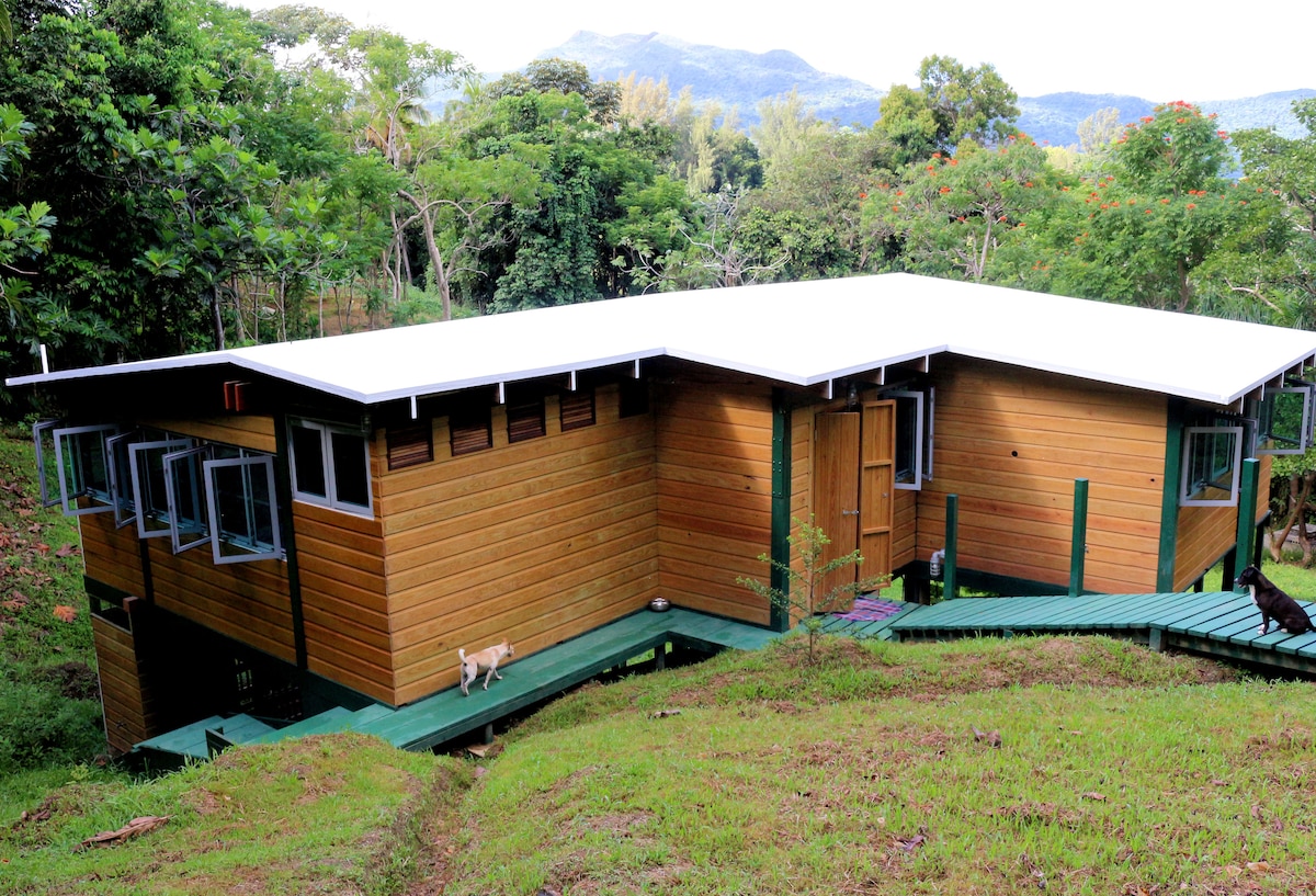 A spacious wooden cottage is shown, nestled among greenery with a sloping roof. The entrance is framed by large windows, providing natural light. A gently sloped path leads to the door. Surrounding trees and hills create a serene backdrop.