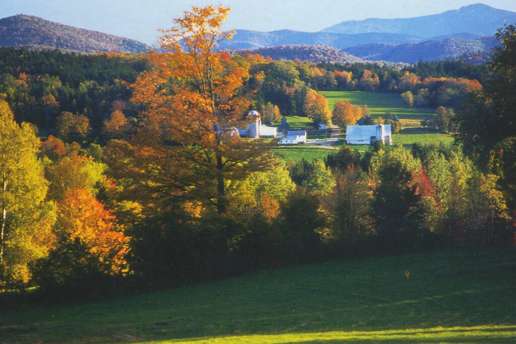 Emily Dickinson Mountain View Vt Bed And Breakfasts