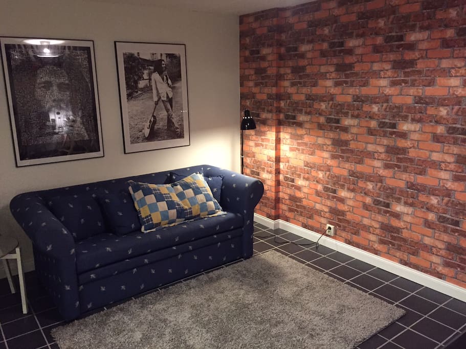 Your own private room with a bed sofa for two. An extra bed is available