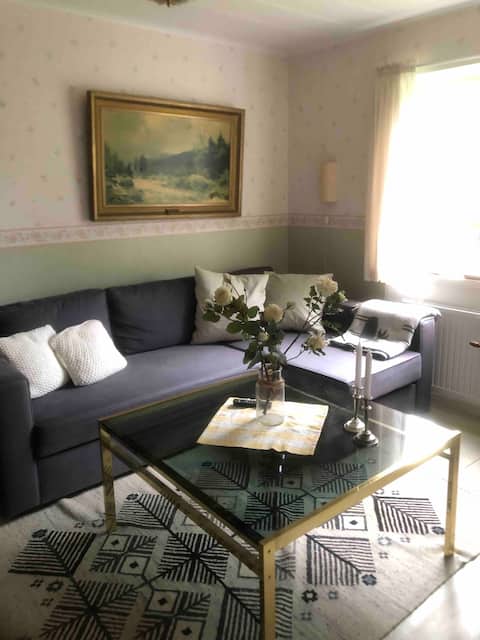 Top performing Airbnb: For rent in Venjan, perfect Vasa Race accommodation in Mora