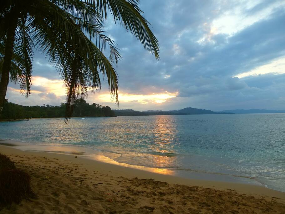 The beach