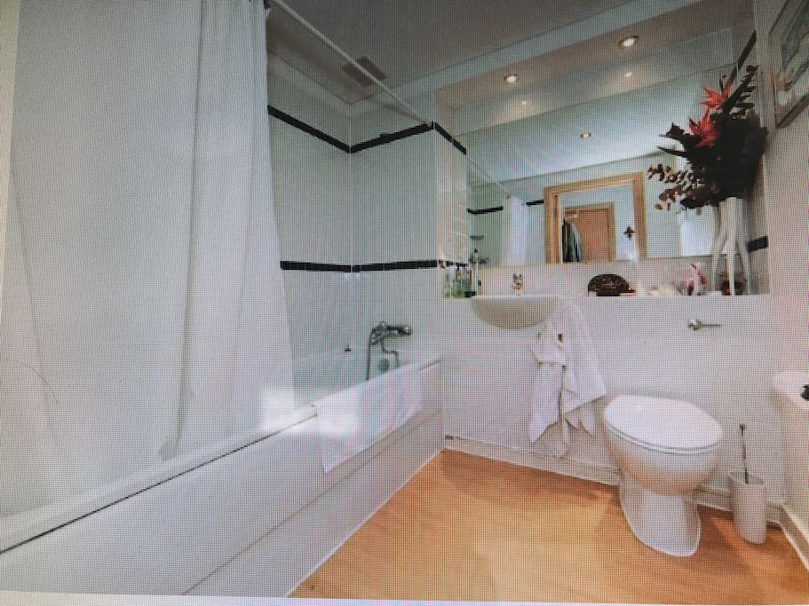 Beautiful big bathroom with bath and shower