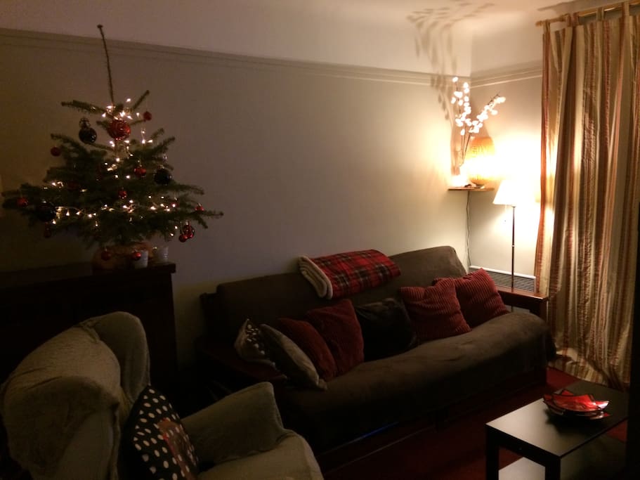 Salon cosy
