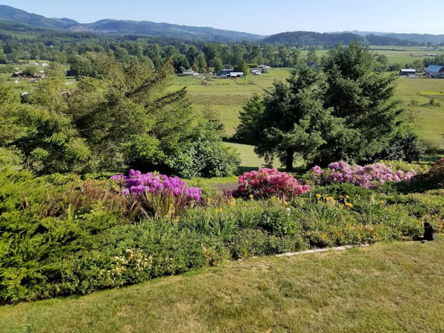 The valley view in spring.