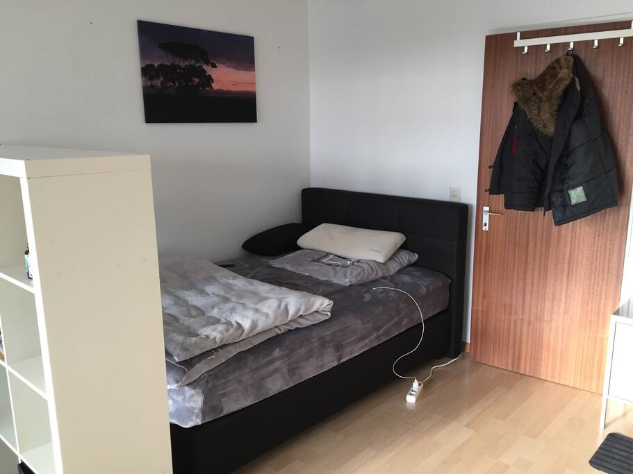 Big room with bed, sofa and TV