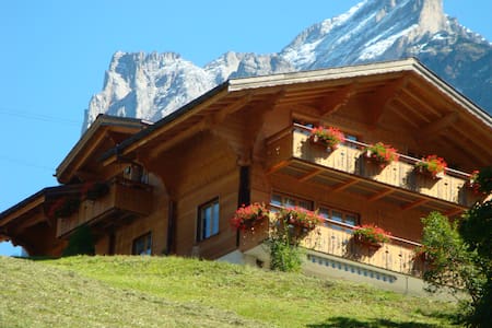2 rooms appartement  / Eiger view/ mountain view