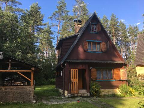 Chalet Orava -  forest and stream.