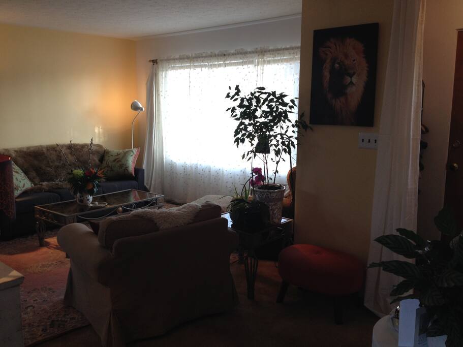 Living space with large sofa and lots of sitting space