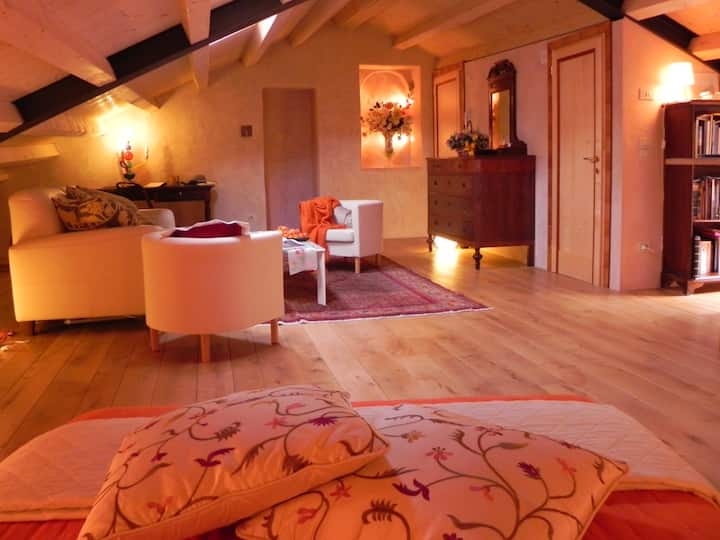 Top Floor Charming Loft - Vittorio Veneto