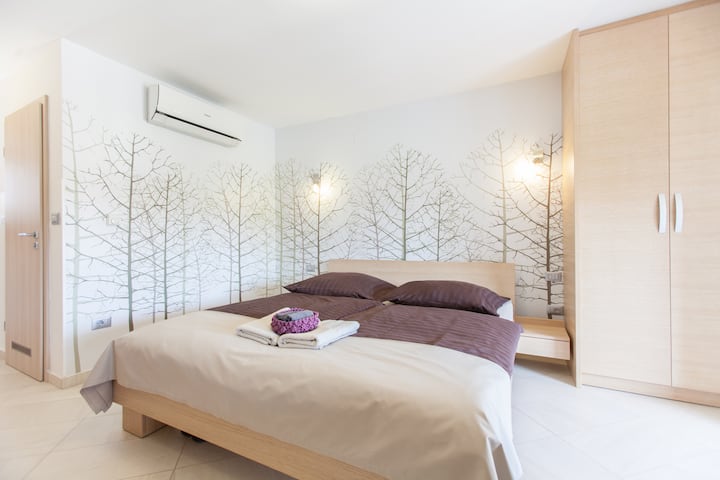 Estudio Violet