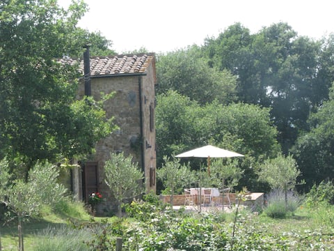 The Tower