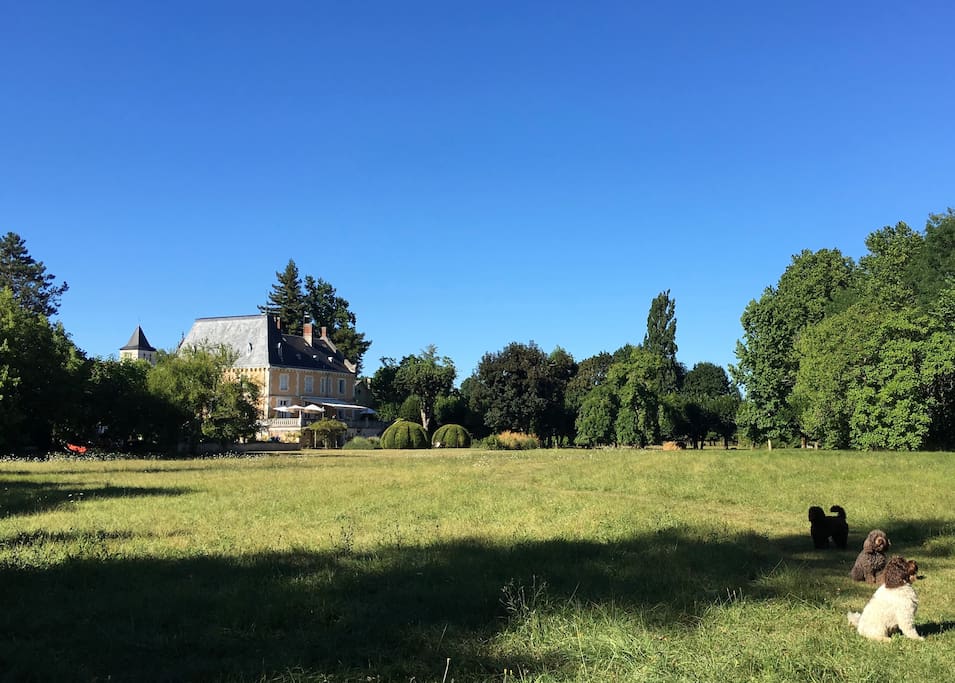 The park of the Chateau