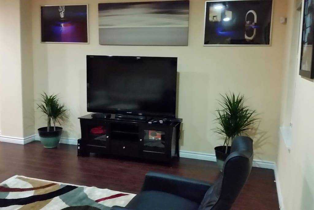 The 62 inch flat screen 1080p Smart HDTV has Roku, Amazon Prime, Netflix, Vudu, Hulu, ESPN, HBO and much more.