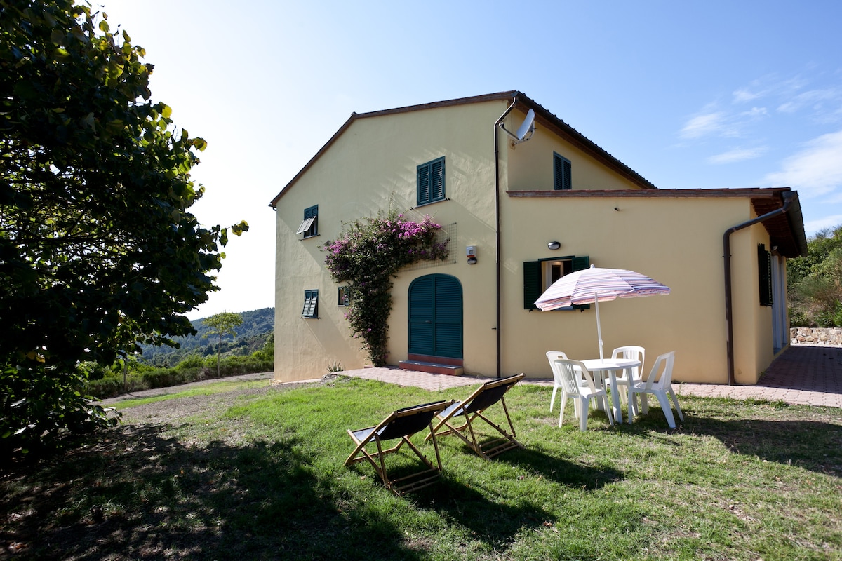 A sunlit exterior of a charming house is visible, featuring a large arched door and green window shutters. A small seating area with white chairs and an umbrella is situated on the lawn, surrounded by lush greenery and distant hills.