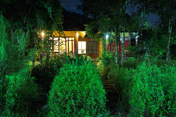 Bungalows at night.