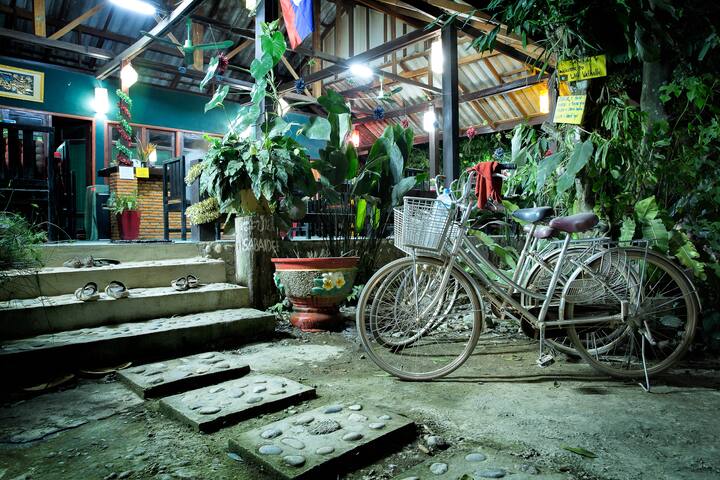 Free bicycles.