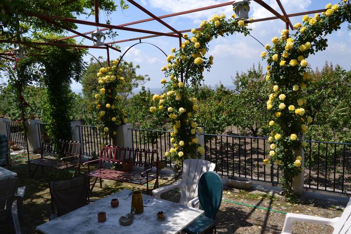 LOFT AI PIEDI DEL VESUVIO!!!