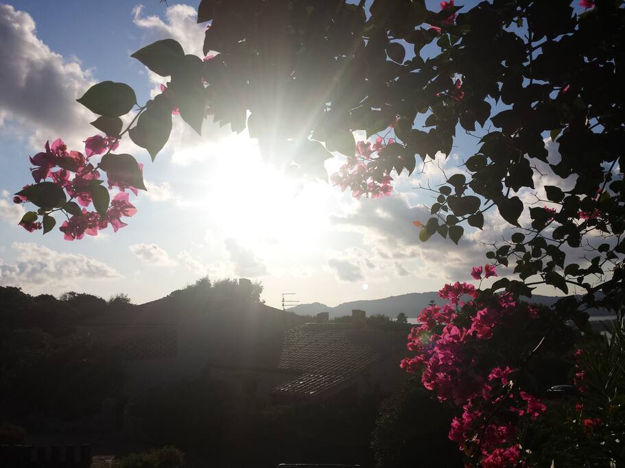 Vista al mattino del terrazzo di casa durante la colazione