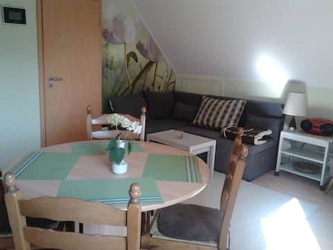Top performing Airbnb: Quiet apartment on the Baltic Sea in Neustadt In Holstein