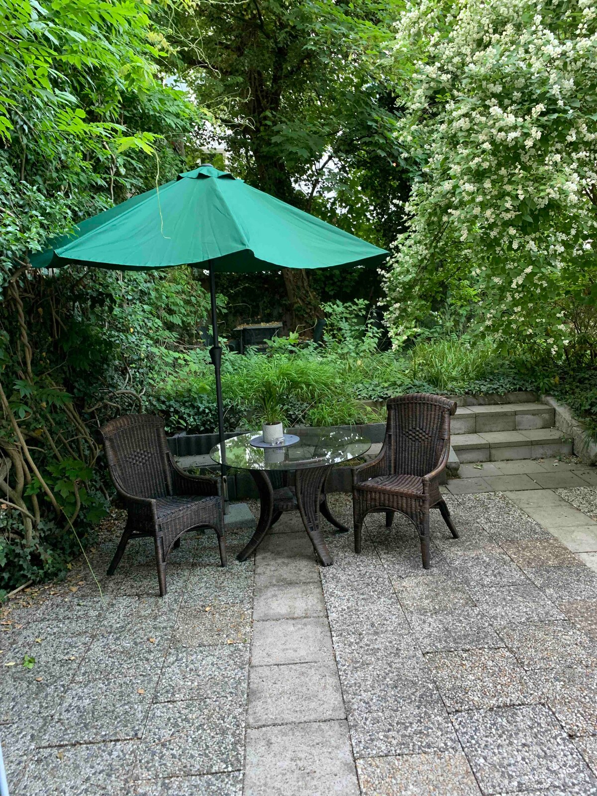 A private outdoor space features a round glass table with two wicker chairs, shaded by a green umbrella. Lush greenery surrounds the area, creating a serene environment, while stone steps lead up to a path hidden by the dense foliage.