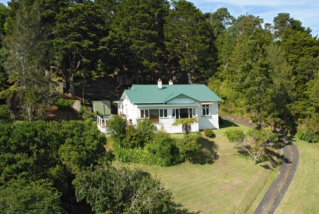 Kauri Nest is set in Half an acre of native trees