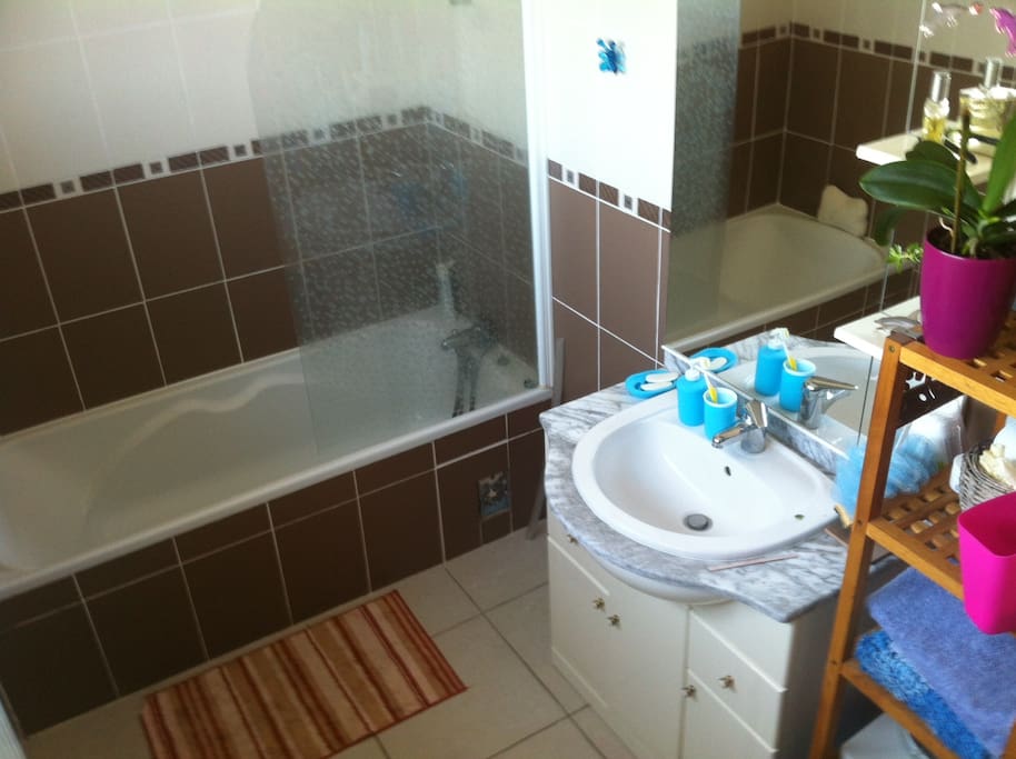 Salle de Bains et Toilettes privatives, attenantes à la chambre.
