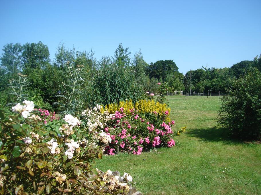 Flânez au milieu des fleurs.