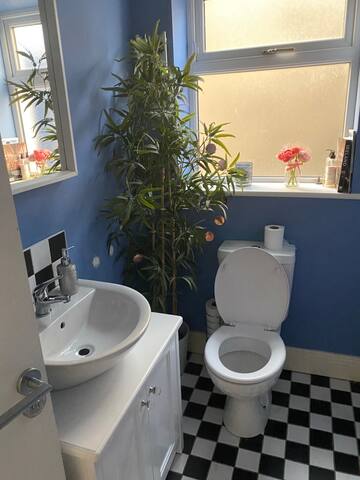 Entire, modern, spacious Family Home – 5 bedroom gallery image 2