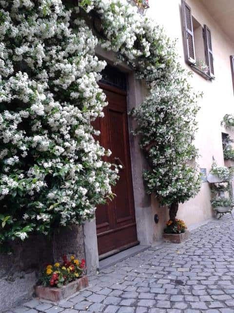 Annuncio Airbnb popolare: The Jasmine of Isia a Orvieto