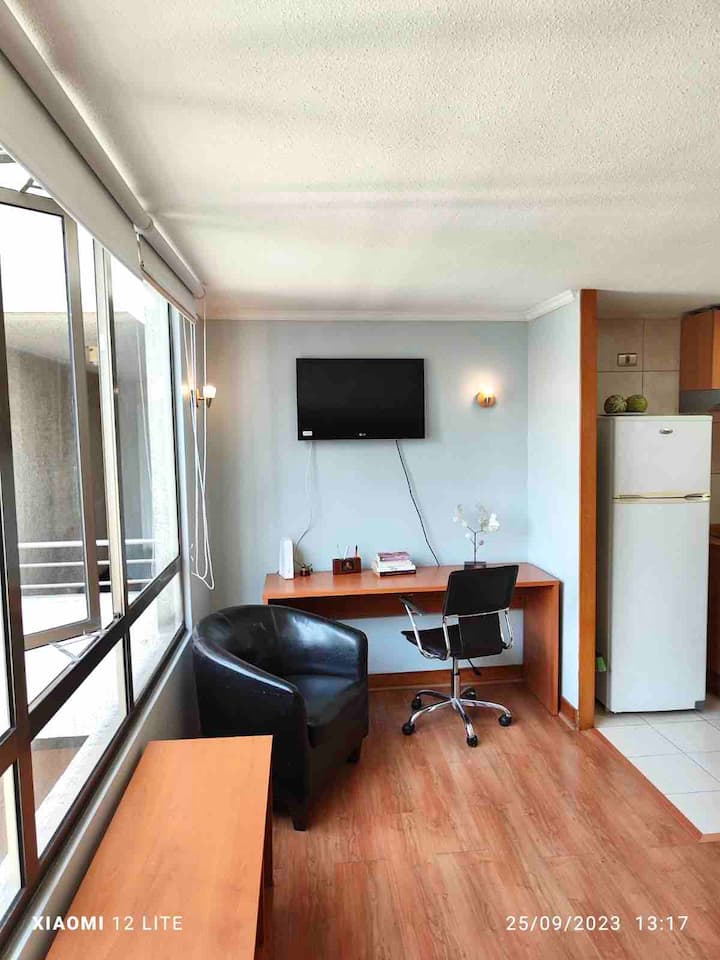 Encantador Studio Lastarria, Metro Uc - Santiago del Chile